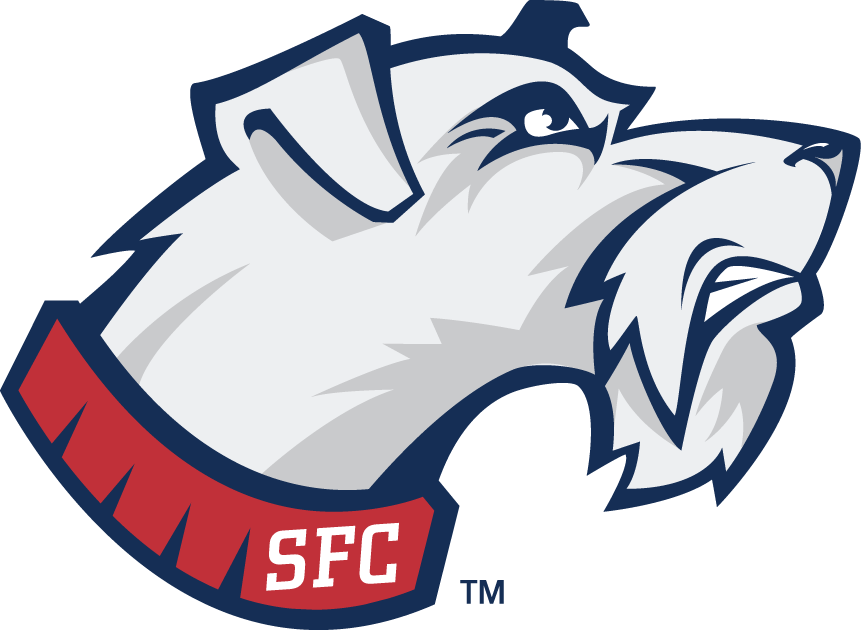 St. Francis Terriers 2001-2013 Secondary Logo iron on transfers for fabric